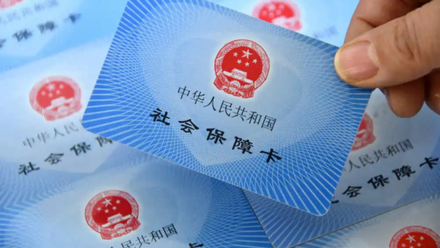 澳门藏宝阁一肖一码,甲亢哥被折耳根整破防,决策资料解释落实_移动版V1.29