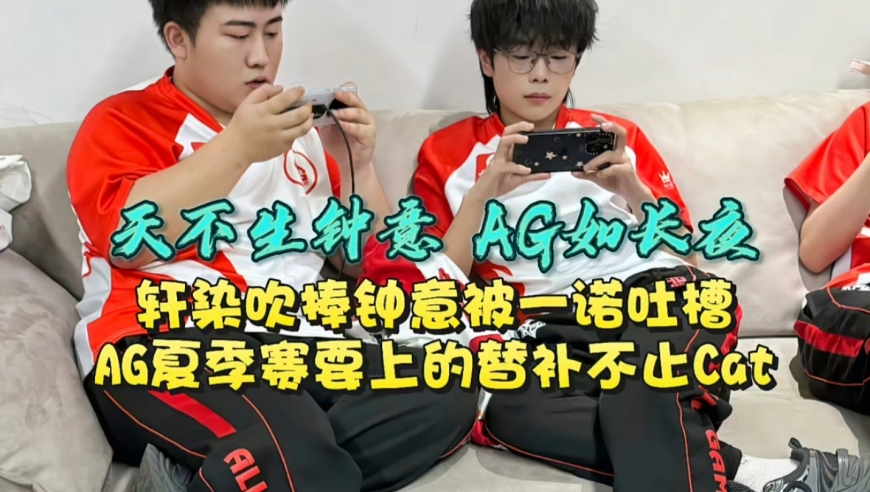 小狗掐架导致堵车 因为太萌没人劝架,二四六天天免费资料大全部,机构预测与落实方法揭秘_社交版V10.96